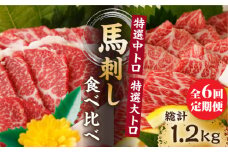 【6回定期便】特選霜降り馬刺し 中トロ大トロ2種食べ比べセット 計200g（各1pc）＋タレ小 馬刺し 特選霜降り馬刺し 馬刺し 馬肉 桜肉 馬 肉 特選 霜降り 中トロ 大トロ タレ付き 冷凍 おつまみ 刺身 九州 熊本県 特産品 山鹿 送料無料【馬刺しの郷 民守】[ZBL078]