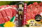  馬刺し 特選霜降り馬刺し 馬肉 桜肉 中トロ 大トロ タレ付き 冷凍 おつまみ 刺身 九州 熊本県 特産品 山鹿 送料無料