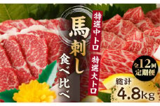 【12回定期便】特選霜降り馬刺し 中トロ大トロ2種食べ比べセット 計400g（各2pc）＋タレ大 馬刺し 特選霜降り馬刺し 馬刺し 馬肉 桜肉 馬 肉 特選 霜降り 中トロ 大トロ タレ付き 冷凍 おつまみ 刺身 九州 熊本県 特産品 山鹿 送料無料【馬刺しの郷 民守】[ZBL107]