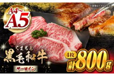 くまもと黒毛和牛 サーロインステーキ 計800g（4枚）【馬刺しの郷 民守】 ステーキ サーロイン ヒレ 霜降り 熊本 熊本県 黒毛和牛   [ZBL022]