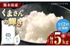 《 新米先行予約 》【全12回定期便】2025年10月より順次発送 くまさんの輝き 白米 5kg【有限会社  農産ベストパートナー】5kg 精米 特A くまさんの輝き コメ 米 お米 熊本県 熊本県産 ごはん 白米  [ZBP111]
