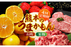 【数量限定】【先行予約】【4回定期便】肉と果物 定期便 ～熊本のうまかもん～ [ZZZ003] フルーツ定期便 果物 くだもの 果物定期便 フルーツ定期 くまもと黒毛和牛 九州産黒毛和牛 ステーキ 切り落とし