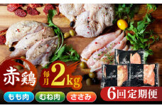 【6回定期便】鶏肉 赤鶏 食べ比べ むね肉 もも肉 ささみ 計12kg（各2kg×3種）【日本一鶏肉研究所 株式会社 】 熊本県 九州産 ささみ ササミ むね肉 モモ肉 鶏肉セット 食べ比べ  [ZCU142]