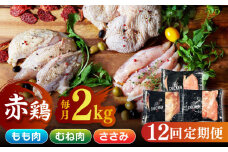 【12回定期便】鶏肉 赤鶏 食べ比べ もも肉 むね肉 ささみ 計24kg（各2kg×3種）【日本一鶏肉研究所 株式会社 】 熊本県 九州産 ささみ ササミ むね肉 モモ肉 鶏肉セット 食べ比べ 定期 定期便 [ZCU143]