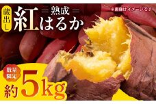 【先行予約】【数量限定】 蔵出し 熟成 紅はるか さつまいも 約5kg サイズバラバラ 密 芋 【合同会社 福福堂】 芋 いも 熟成 特産品 熊本県 九州 [ZCN017]