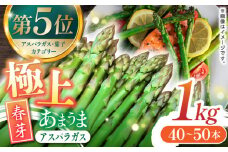 【先行予約】春芽 3月配送 極上あまうま アスパラガス 1kg （40〜50本）【Nature-falo】アスパラ 野菜 Lサイズ 熊本   [ZEQ001]
