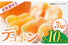 【数量限定】【先行予約】デコポン 3kg （7〜10玉）化粧箱入り【鹿本農業協同組合】でこぽん 不知火  フルーツ 果物 柑橘 熊本 山鹿  [ZAG006]