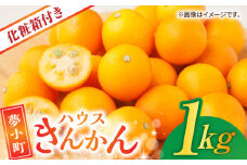 【数量限定】【先行予約】 ハウスきんかん 夢小町 1kg 化粧箱 入り【鹿本農業協同組合】 金柑 キンカン 柑橘 フルーツ 果物 国産 きんかん [ZAG008]