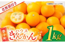 【先行予約】 ハウスきんかん 夢小町 1kg 化粧箱 入り【鹿本農業協同組合】 金柑 キンカン 柑橘 フルーツ 果物 国産 きんかん [ZAG008]