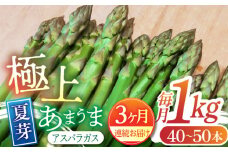 【3回定期便】【先行予約】夏芽 5〜9月配送 極上あまうま アスパラガス 1kg （40〜50本）【Nature-falo】アスパラ くまもと サラダ 定期  [ZEQ003]