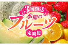 【先行予約】【3回定期便】果物 定期便 ～ 熊本 の 旬 をお届けします～ [ZZZ001] フルーツ定期便 果物 くだもの フルーツ定期 果物定期便 熊本