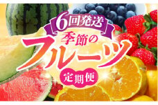 【先行予約】【6回定期便】果物 定期便 ～ 熊本 の 旬 をお届けします～ [ZZZ002] フルーツ定期便 果物 くだもの フルーツ定期 果物定期便 熊本
