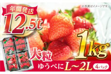 大粒いちご L～2L ゆうべに 1kg（4pc）【熊本ベリー】フルーツ 果物 くだもの いちご イチゴ 苺 ゆうべに 大粒いちご 国産  [ZER001]