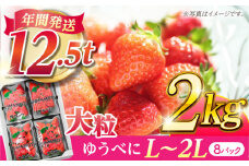 大粒いちご L～2L ゆうべに 2kg（8pc）【熊本ベリー】フルーツ 果物 くだもの いちご イチゴ 苺 ゆうべに 大粒いちご 国産  [ZER002]