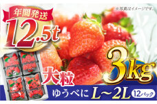 大粒いちご L～2L ゆうべに 3kg（12pc）【熊本ベリー】フルーツ 果物 くだもの いちご イチゴ 苺 ゆうべに 大粒いちご 国産 熊本県産 九州産 [ZER003]