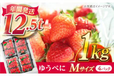 いちご Mサイズ ゆうべに 1kg（4pc）【熊本ベリー】いちご イチゴ 苺 ゆうべに 大粒いちご  [ZER007]
