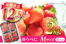 いちご Mサイズ ゆうべに 2kg（8pc）【熊本ベリー】  いちご イチゴ 苺 ゆうべに 大粒いちご  [ZER008]