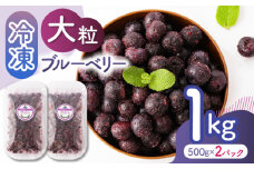 【先行予約】大粒 冷凍ブルーベリー 約1000g（約500g×2pc） 【すみれファーム】熊本県産 熊本 ブルーベリー フルーツ スムージー 果物 小分け 国産 フルーツ  [ZEP007]