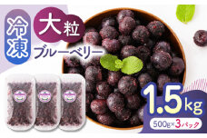 【先行予約】大粒 冷凍ブルーベリー 約1500g（約500g×3pc） 【すみれファーム】熊本県産 熊本 ブルーベリー フルーツ スムージー 果物 小分け 国産 フルーツ  [ZEP008]