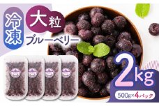 【先行予約】大粒 冷凍ブルーベリー 約2000g（約500g×4pc）【すみれファーム】熊本県産 熊本 ブルーベリー フルーツ スムージー 果物 小分け 国産 フルーツ  [ZEP009]
