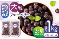 【先行予約】【3回定期便】大粒 冷凍ブルーベリー 約1000g（約500g×2pc）【すみれファーム】熊本県産 熊本 ブルーベリー フルーツ スムージー 果物 小分け 国産 フルーツ 定期 定期便 [ZEP010]