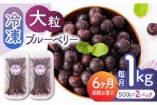 【先行予約】【6回定期便】大粒 冷凍ブルーベリー 約1000g（約500g×2pc）【すみれファーム】熊本県産 熊本 ブルーベリー フルーツ スムージー 果物 小分け 国産 フルーツ 定期 定期便  [ZEP011]