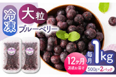 【先行予約】【12回定期便】大粒 冷凍ブルーベリー 約1000g（約500g×2pc） 【すみれファーム】熊本県産 熊本 ブルーベリー フルーツ スムージー 果物 小分け 国産 フルーツ 定期 定期便  [ZEP012]