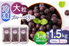 【先行予約】【3回定期便】大粒 冷凍ブルーベリー 約1500g（約500g×3pc）【すみれファーム】熊本県産 熊本 ブルーベリー フルーツ スムージー 果物 小分け 国産 フルーツ 定期 定期便  [ZEP013]