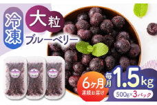 【先行予約】【6回定期便】大粒 冷凍ブルーベリー 約1500g（約500g×3pc） 【すみれファーム】熊本県産 熊本 ブルーベリー フルーツ スムージー 果物 小分け 国産 フルーツ 定期 定期便  [ZEP014]