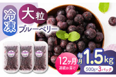【先行予約】【12回定期便】大粒 冷凍ブルーベリー 約1500g（約500g×3pc） 【すみれファーム】熊本県産 熊本 ブルーベリー フルーツ スムージー 果物 小分け 国産 フルーツ 定期 定期便  [ZEP015]