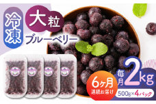 【先行予約】【6回定期便】大粒 冷凍ブルーベリー 約2000g（約500g×4pc） 【すみれファーム】 [ZEP017]