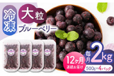 【先行予約】【12回定期便】大粒 冷凍ブルーベリー 約2000g（約500g×4pc） 【すみれファーム】熊本県産 熊本 ブルーベリー フルーツ スムージー 果物 小分け 国産 フルーツ 定期 定期便  [ZEP018]