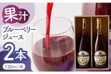 ブルーベリージュース 2本セット 【すみれファーム】 果物 フルーツ くだもの 果汁 ジュースセット 熊本 [ZEP020]