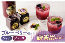 【贈答用 にもおすすめ】ブルーベリージャム ジュース セット 【すみれファーム】果物 フルーツ くだもの ブルーベリー 熊本 贈答 ブルーベリー加工品 [ZEP021]