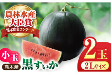 【先行予約】【数量限定】黒小玉スイカ 2玉 2Lサイズ 【株式会社 前田ファーム】 [ZCM009]