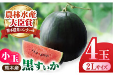 【先行予約】【数量限定】黒小玉すいか 4玉 2Lサイズ 【株式会社 前田ファーム】 [ZCM010]