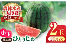 【先行予約】【数量限定】小玉スイカ ひとりじめ 2玉 2Lサイズ 【株式会社 前田ファーム】 [ZCM011]
