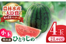 【先行予約】【数量限定】小玉スイカ ひとりじめ 4玉 2Lサイズ 【株式会社 前田ファーム】 [ZCM012]