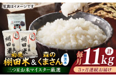 【3回定期便】菊鹿 棚田米 10kg (5kg×2) +  森のくまさん  無洗米  1kg 【ミヤタ 株式会社 】お米 白米 精米 熊本 ごはん  [ZAH009]