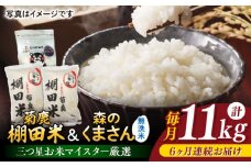 【6回定期便】菊鹿 棚田米 10kg (5kg×2) +  森のくまさん  無洗米  1kg 【ミヤタ 株式会社 】お米 白米 精米 くまさんの輝き お米セット [ZAH010]