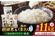 【12回定期便】菊鹿 棚田米 10kg (5kg×2) +  森のくまさん  無洗米  1kg 【ミヤタ 株式会社 】お米 白米 精米 くまさんの輝き 熊本 定期 [ZAH011]