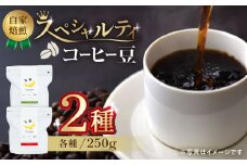 【豆のまま】自家焙煎 スペシャルティコーヒー 豆 （ 250g × 2種 ）約40杯分【かきやま果実】珈琲豆  深煎 中煎 コーヒー豆 焙煎 熊本   [ZCJ015]