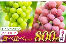 【数量限定】食べ比べセット 800g（シャインマスカット & クイーンニーナ 各一房）【合同会社 社方園】ぶどう 葡萄 熊本 フルーツ 果物  [ZBZ018]