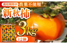 【数量限定】【先行予約】こだわり 自然栽培 柿 3kg 新秋柿【Nature-falo】かき 甘柿 カキ 果物 くだもの デザート  [ZEQ004]