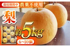 【数量限定】【先行予約】品種は おまかせ ！ こだわり 自然栽培 梨 約5kg （ 豊水梨 あきづき梨  新高梨 新興梨 ）【Nature-falo】果物 なし ナシ 熊本 希少 [ZEQ005]