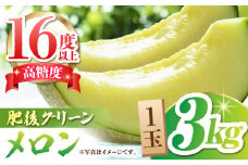 【先行予約】【数量限定】肥後 グリーン メロン 糖度16度以上 1玉 約3kg【岡山農園】めろん 熊本 山鹿 九州 特産品  [ZBY004]
