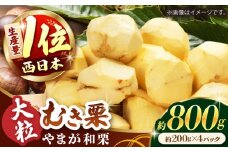 【先行予約】【数量限定】やまが和栗 大粒むき栗 約800g（約200g×4pc）小分け【古川農園】和栗 栗 むき栗 くり クリ 大粒 国産 熊本県産  [ZES001]