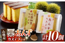 カステラセット 山鹿和栗 & あんず 計10個 【株式会社あんず】 [ZBT003]