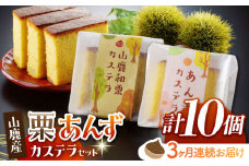 【3回定期便】カステラセット 山鹿和栗 & あんず 計10個 【株式会社あんず】 [ZBT006]