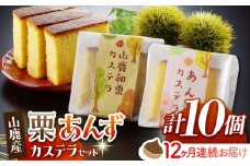 【12回定期便】カステラセット 山鹿和栗 & あんず 計10個 【株式会社あんず】 [ZBT012]